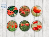 Motiv-Cabochons 1520 